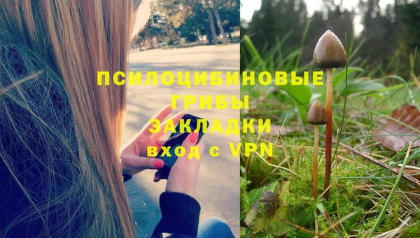 ПСИЛОЦИБИНОВЫЕ ГРИБЫ Армянск