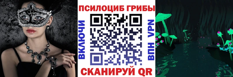 Псилоцибиновые грибы прущие грибы  ОМГ ОМГ рабочий сайт  Кашин 
